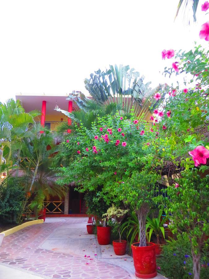 La Cruz Inn La Cruz de Huanacaxtle Екстериор снимка